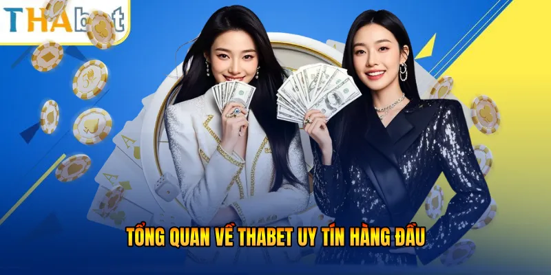 Cơ chế bảo mật của Thabet cao cấp 